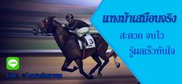 th-sbobet_horse_racing_betting